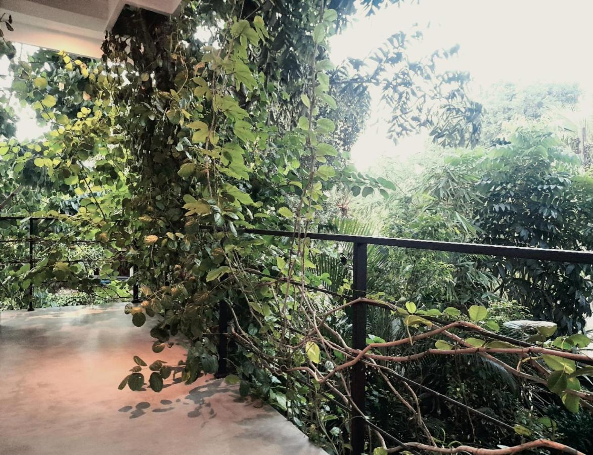 Weligama Bay Watsila Resort Buitenkant foto
