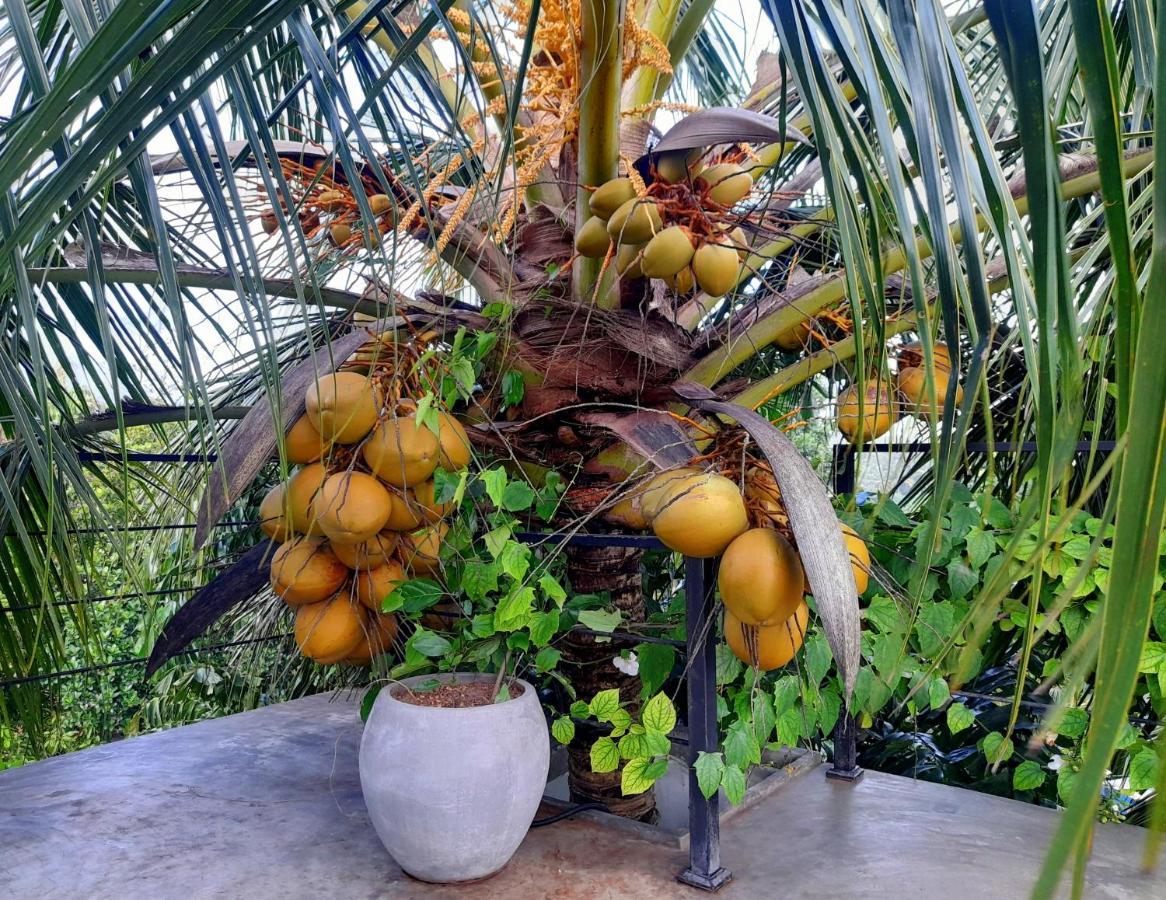 Weligama Bay Watsila Resort Buitenkant foto